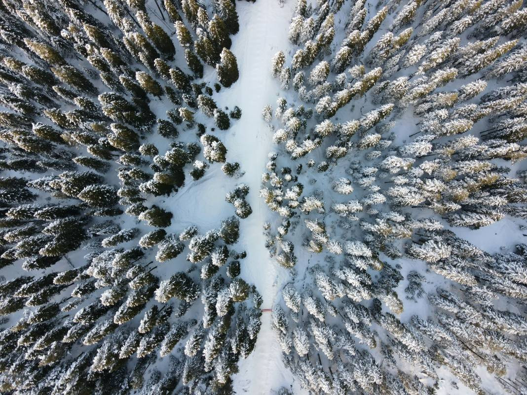 Ilgaz Dağı'nda kartpostallık görüntüler - Resim: 18